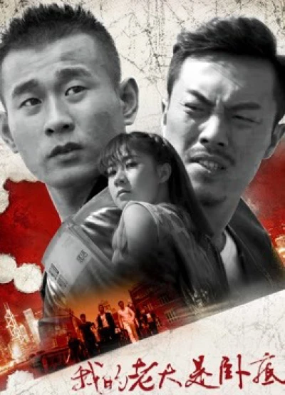 Đại ca của tôi là dân nằm vùng - My Leader Is Undercover (2017)