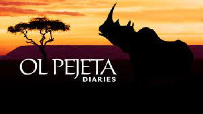 Khu Bảo Tồn Ol Pejeta Châu Phi (Phần 1) - Ol Pejeta Diaries