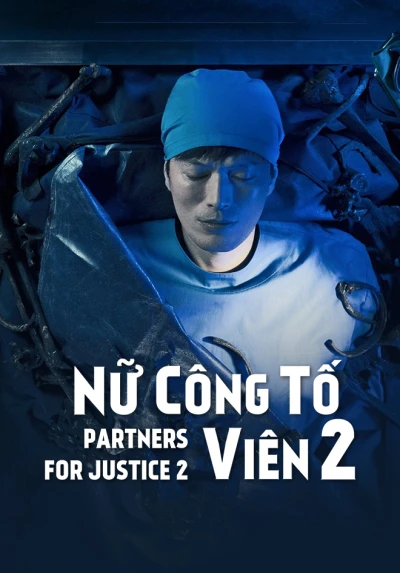 Nữ công tố viên (Phần 2) - Partners for Justice 2 (Season 2)