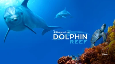 Rạn San Hô Cá Heo - Dolphin Reef