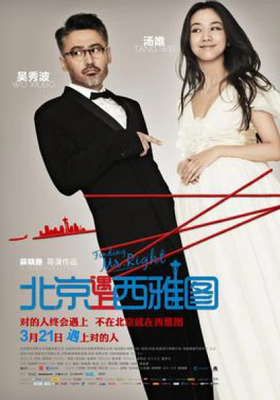 Truy tìm người hoàn hảo - Finding Mr. Right (2013)